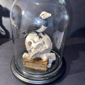 Zombie Crow On Skull On Book Glass Dome Gothic Halloween Decor 180 Degrees